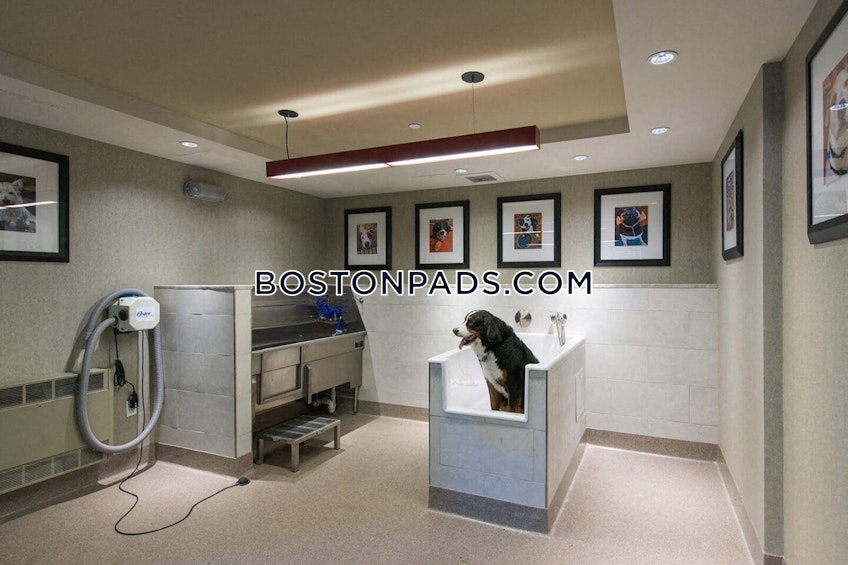 Cambridge - $3,412+ /month