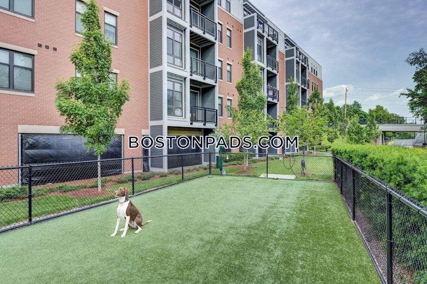 Somerville - $7,535+ /month