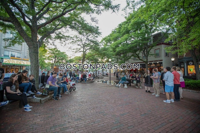 Somerville - $4,175+ /mo