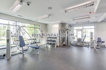 Maxwell's Green Somerville