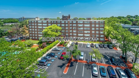 Walden St. Cambridge photo 27