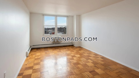 Walden St. Cambridge photo 21