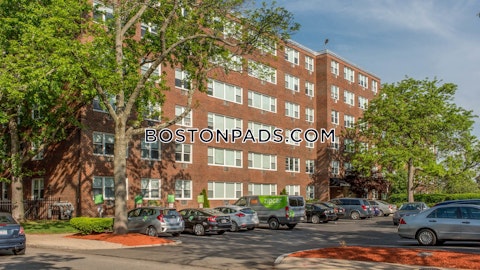 Walden St. Cambridge photo 16