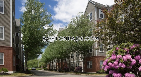 Cedar St. Woburn photo 25