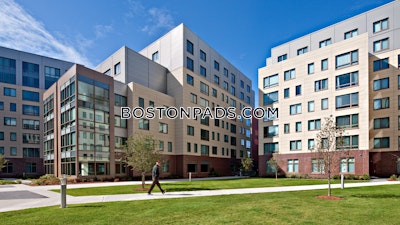 Cambridge Stunning Studio 1 Bath  Kendall Square - $3,001 No Fee