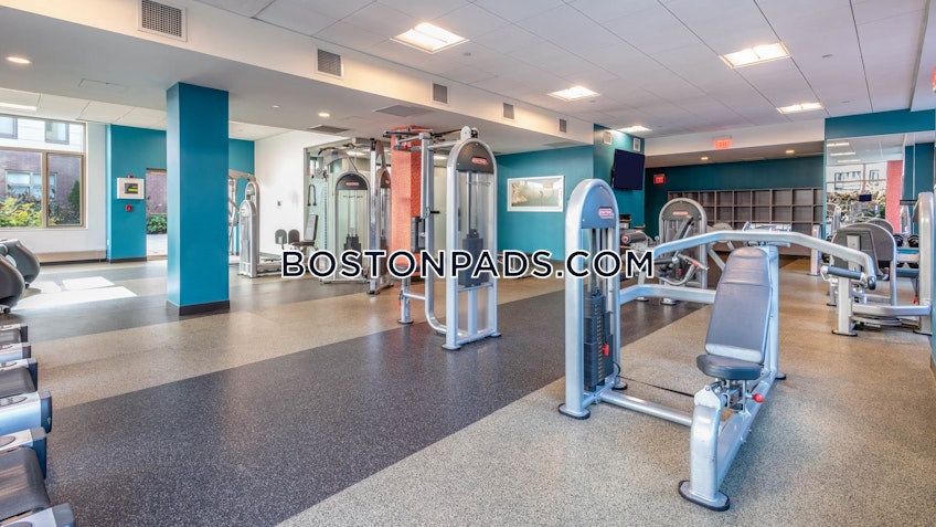 Cambridge - $3,136+ /month