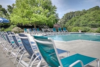 Southern Artery Quincy