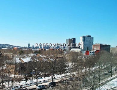 Roxbury 1 bedroom  Luxury in BOSTON Boston - $3,299 No Fee