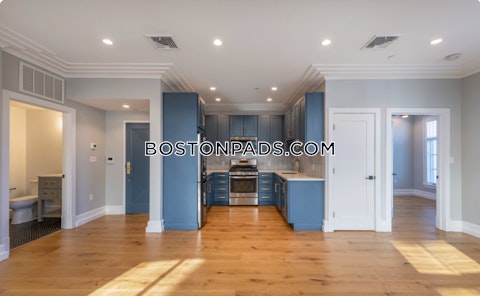 Tremont St. Roxbury Crossing photo 20