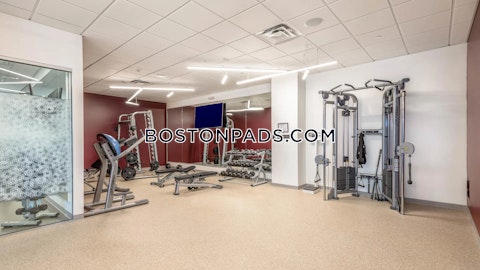 Moody St. Waltham photo 18