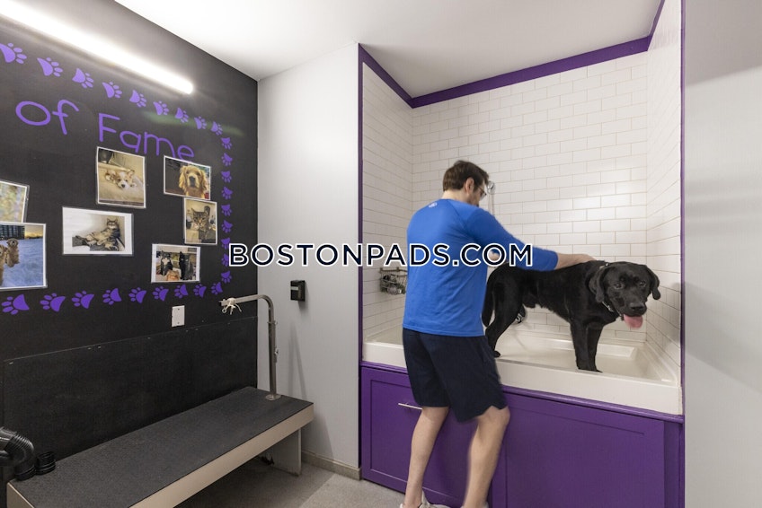 Boston - $2,816+ /month