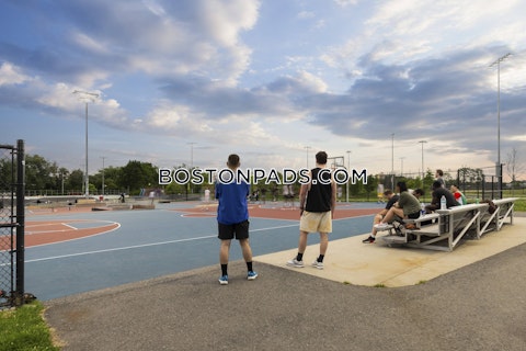 Western Ave. Boston photo 17