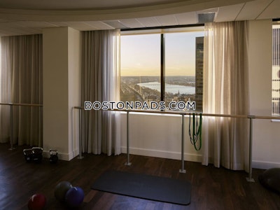 Downtown Nice 1 Bed 1 Bath BOSTON Boston - $3,835 No Fee