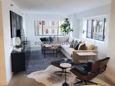 Downtown 3 bedroom 2.5 baths Luxury in BOSTON Boston - $7,297 No Fee