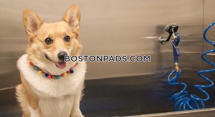 Plymouth - $2,145+ /month