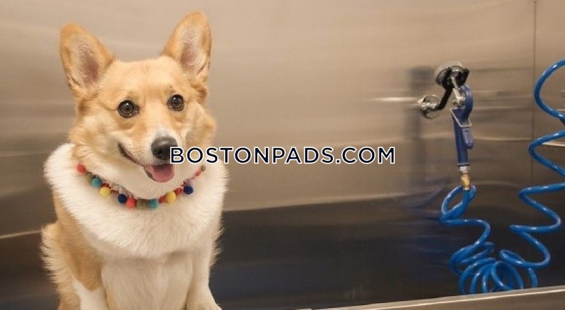 Plymouth - 2 Beds, 2 Baths