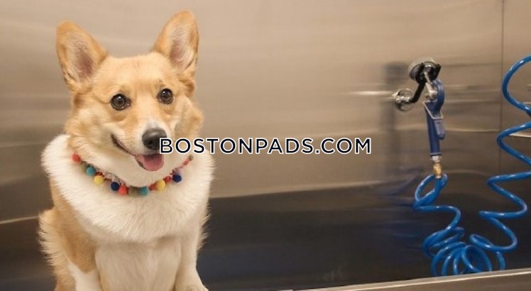 Loring Boulevard, Plymouth