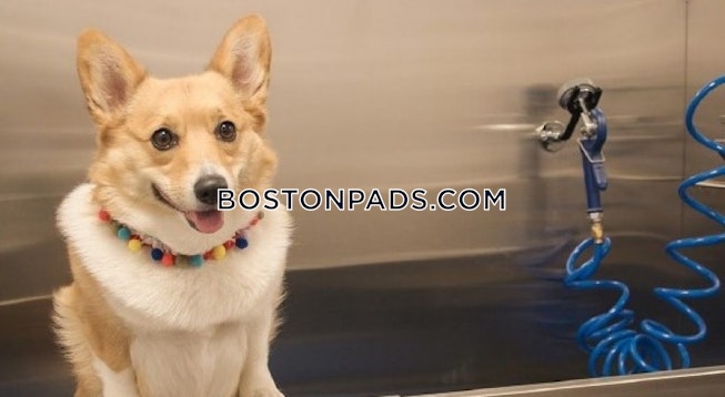 Plymouth - $3,699+ /mo