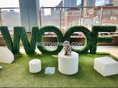 Causeway St. Boston photo 52