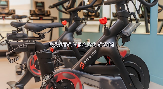 Boston - $3,999+ /mo