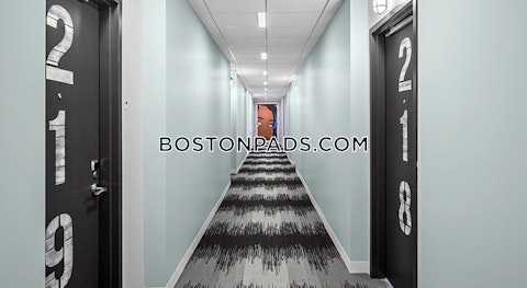 Harrison Ave. Boston photo 18