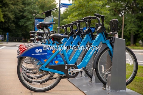 Sant Alphonsus St. Boston photo 51