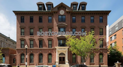 Harrison Ave. Boston photo 32