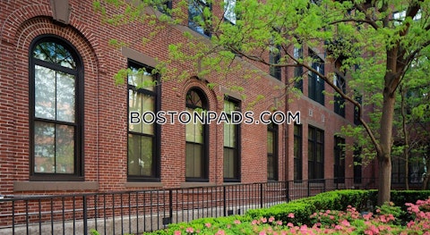 Harrison Ave. Boston photo 33