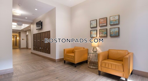 Harrison Ave. Boston photo 8