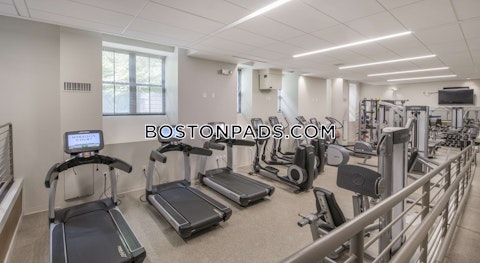 Harrison Ave. Boston photo 29