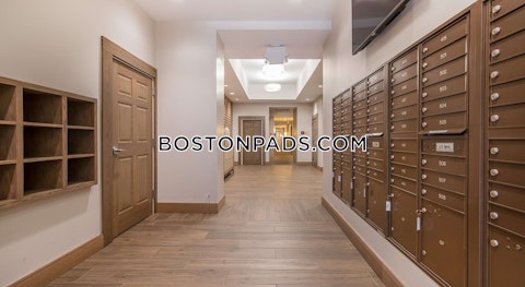 Harrison Ave. Boston photo 27