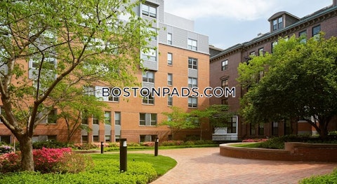 Harrison Ave. Boston photo 36