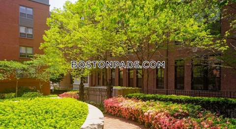 Harrison Ave. Boston photo 26
