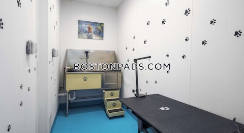 Harrison Ave. Boston photo 19