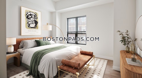 Harrison Ave. Boston photo 12