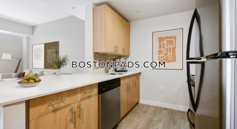 Harrison Ave. Boston photo 10