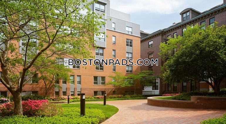 Harrison Ave. Boston