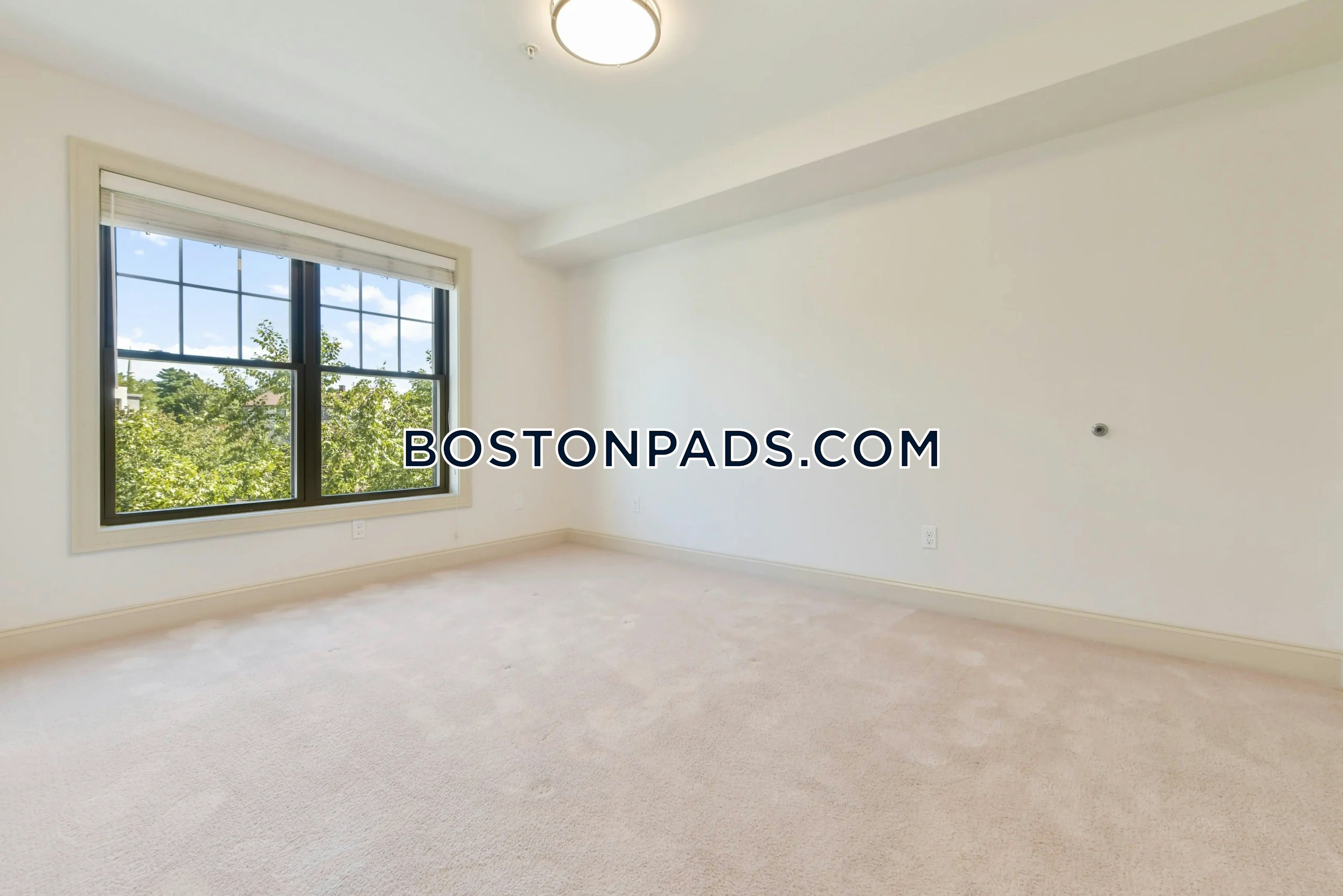 Washington Stoughton