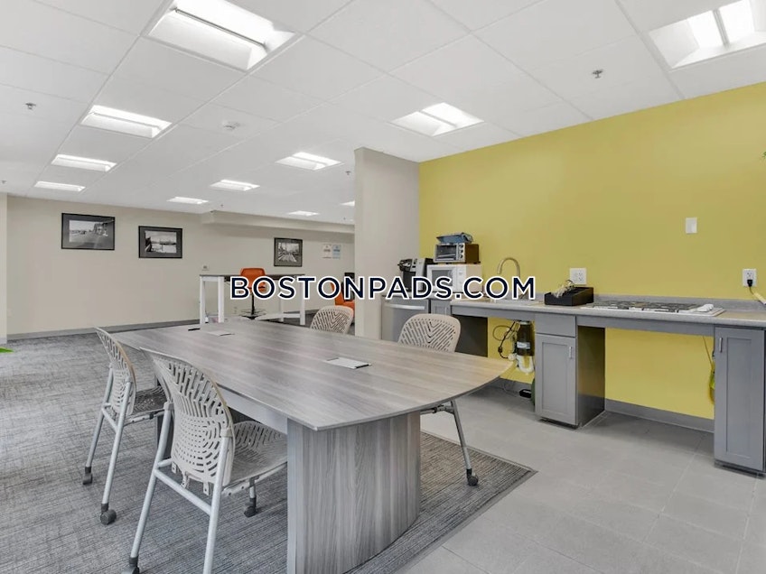 Cambridge - $3,100+ /month