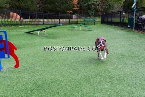 Liberty St. Braintree photo 27