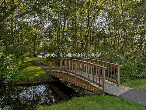 Thacher Brook Cr. Attleboro photo 20