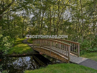 Thacher Brook Cr. Attleboro