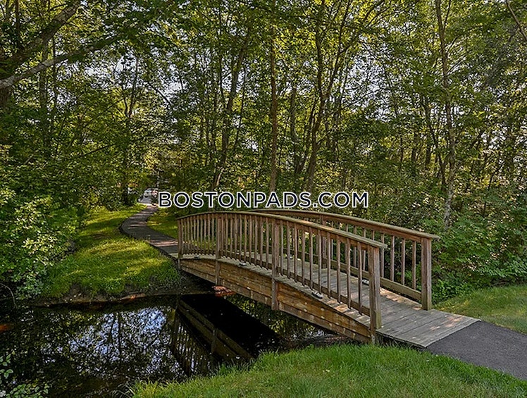 Thacher Brook Cr., Attleboro