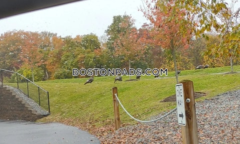 Seabreeze Dr. Dartmouth photo 14