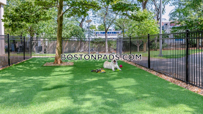 Boston - $4,000+ /mo