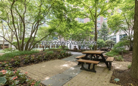 Brookline Ave. Boston photo 36