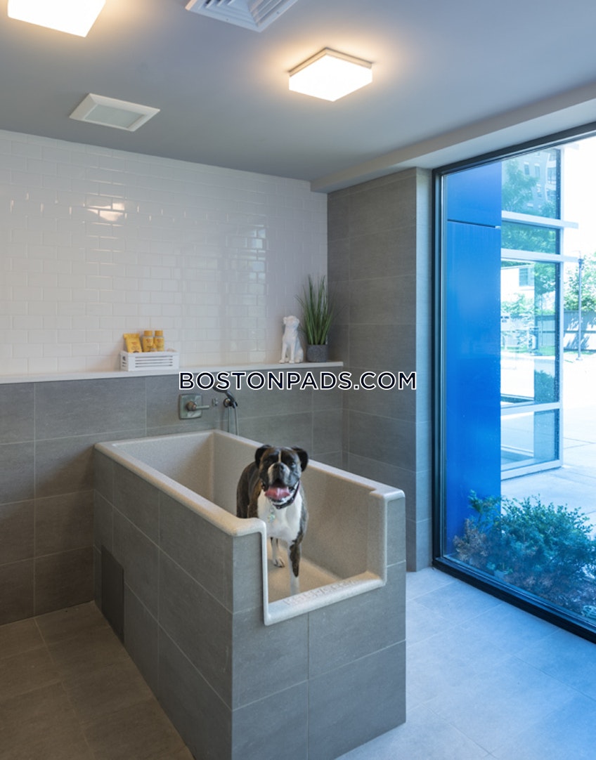 Cambridge - $2,814+ /month