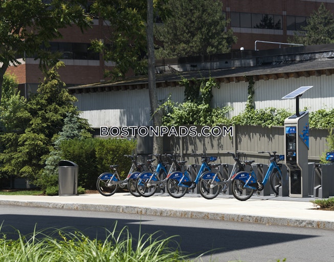 Cambridge - $5,456+ /mo