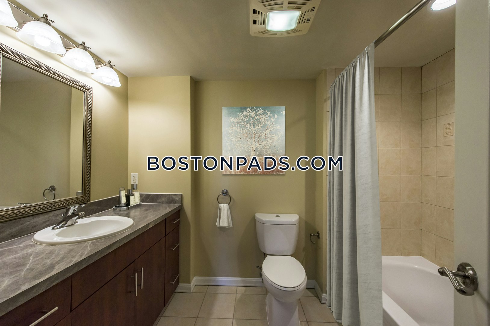 Everett - 1 Beds, 1 Baths