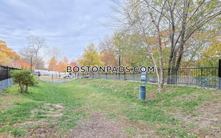 Commonwealth Ave., Boston